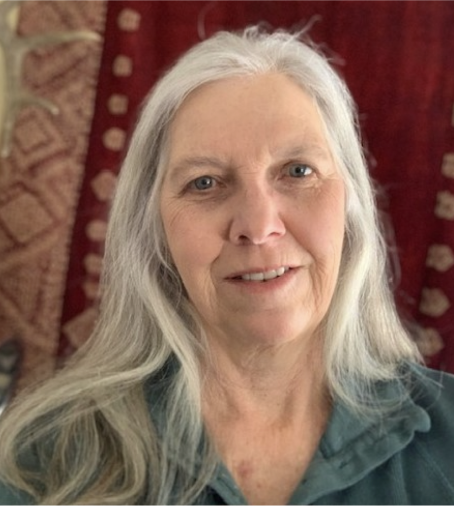 Lynne Storm - West Boundary Connect